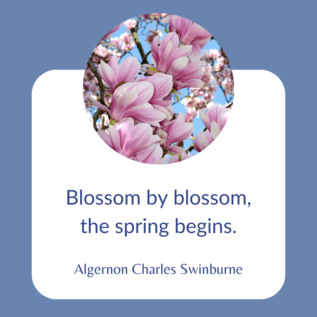 Nieuwsbrief maart 2025